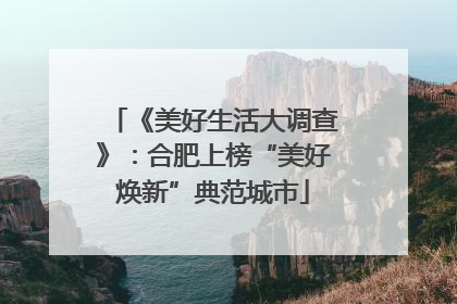 《美好生活大调查》：合肥上榜“美好焕新”典范城市