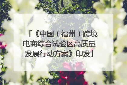 《中国（福州）跨境电商综合试验区高质量发展行动方案》印发