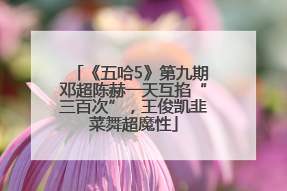 《五哈5》第九期邓超陈赫一天互掐“三百次”，王俊凯韭菜舞超魔性