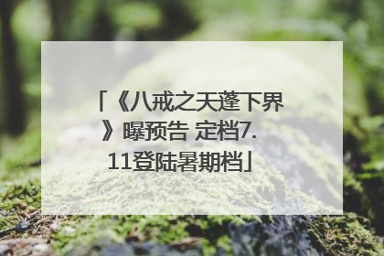 《八戒之天蓬下界》曝预告 定档7.11登陆暑期档