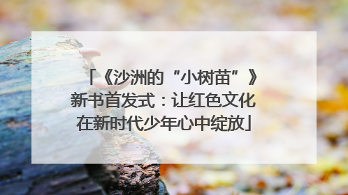 《沙洲的“小树苗”》新书首发式：让红色文化在新时代少年心中绽放