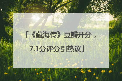 《藏海传》豆瓣开分，7.1分评分引热议