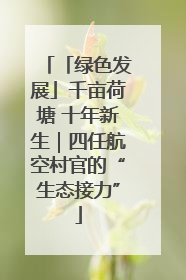 「绿色发展」千亩荷塘 十年新生｜四任航空村官的“生态接力”