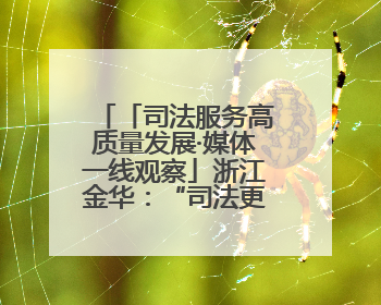 「司法服务高质量发展·媒体一线观察」浙江金华：“司法更有为”让“市场更有力”