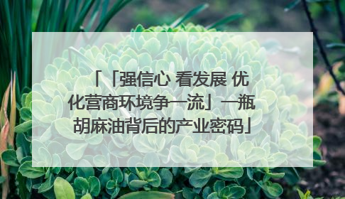「强信心 看发展 优化营商环境争一流」一瓶胡麻油背后的产业密码