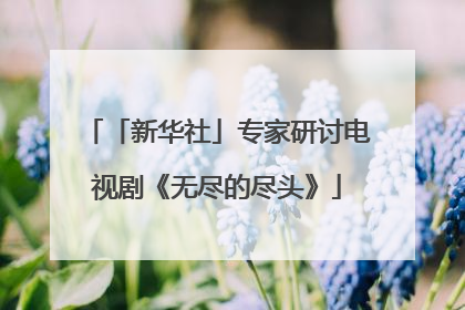 「新华社」专家研讨电视剧《无尽的尽头》