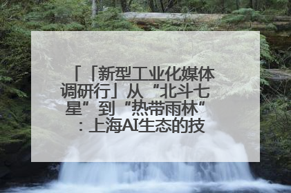 「新型工业化媒体调研行」从“北斗七星”到“热带雨林”：上海AI生态的技术商业共生密码