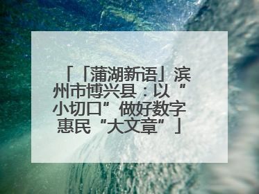 「蒲湖新语」滨州市博兴县：以“小切口”做好数字惠民“大文章”