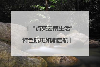 “点亮云南生活”特色航班如期启航