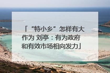 “特小乡”怎样有大作为 刘亭：有为政府和有效市场相向发力