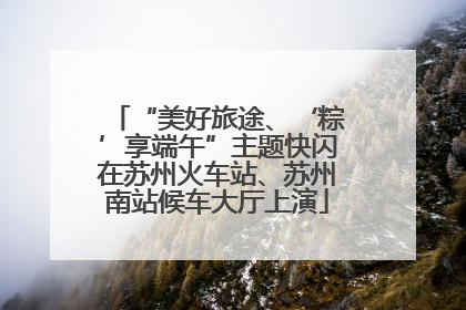 “美好旅途、‘粽’享端午”主题快闪在苏州火车站、苏州南站候车大厅上演
