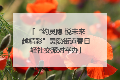 “约灵隐 悦未来 越精彩”灵隐街道春日轻社交派对举办