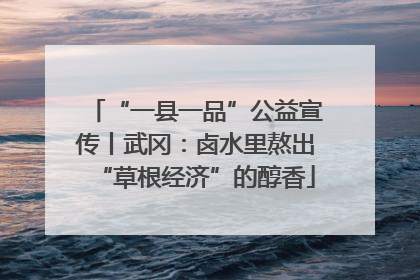 “一县一品”公益宣传丨武冈：卤水里熬出“草根经济”的醇香