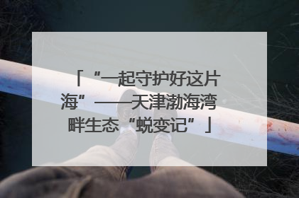 “一起守护好这片海”——天津渤海湾畔生态“蜕变记”