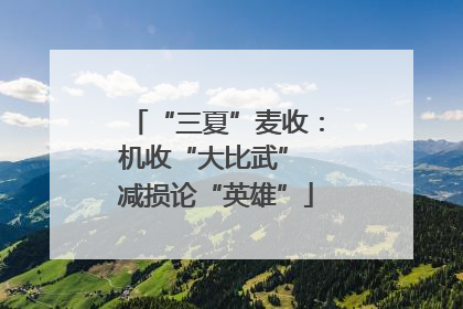 “三夏”麦收：机收“大比武” 减损论“英雄”