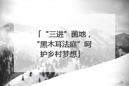 “三进”菌地，“黑木耳法庭”呵护乡村梦想
