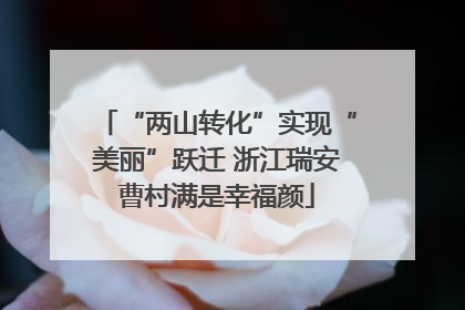 “两山转化”实现“美丽”跃迁 浙江瑞安曹村满是幸福颜