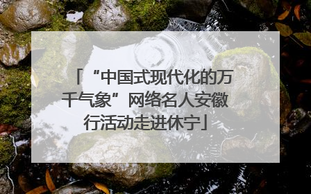 “中国式现代化的万千气象”网络名人安徽行活动走进休宁
