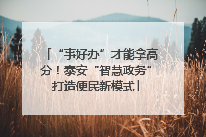 “事好办”才能拿高分！泰安“智慧政务”打造便民新模式