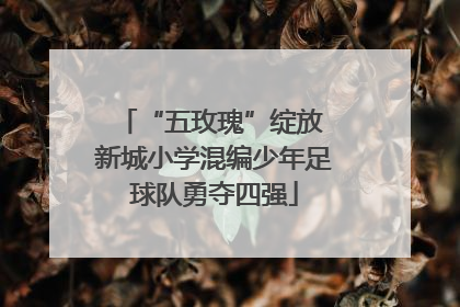 “五玫瑰”绽放 新城小学混编少年足球队勇夺四强