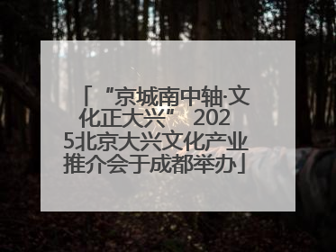 “京城南中轴·文化正大兴” 2025北京大兴文化产业推介会于成都举办