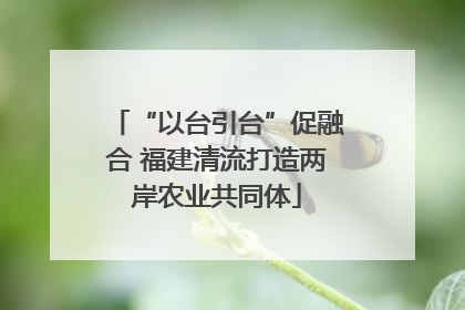 “以台引台”促融合 福建清流打造两岸农业共同体