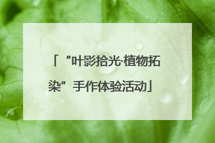 “叶影拾光·植物拓染”手作体验活动