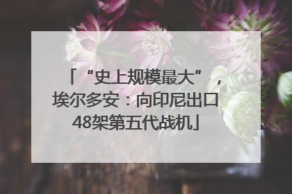 “史上规模最大”，埃尔多安：向印尼出口48架第五代战机
