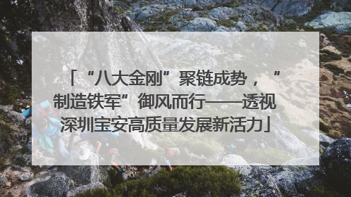 “八大金刚”聚链成势，“制造铁军”御风而行——透视深圳宝安高质量发展新活力