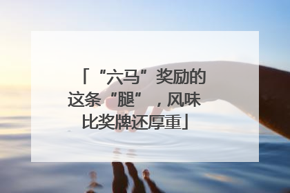 “六马”奖励的这条“腿”，风味比奖牌还厚重