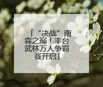 “决战”南森之巅！丰台武林万人争霸赛开启