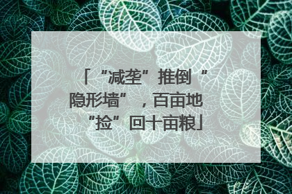 “减垄”推倒“隐形墙”，百亩地“捡”回十亩粮