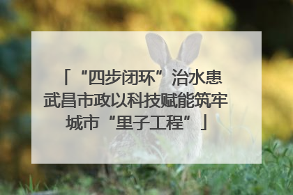 “四步闭环”治水患 武昌市政以科技赋能筑牢城市“里子工程”