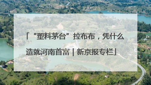 “塑料茅台”拉布布，凭什么造就河南首富｜新京报专栏