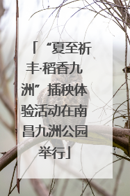 “夏至祈丰·稻香九洲”插秧体验活动在南昌九洲公园举行