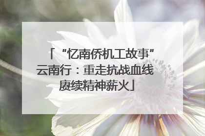 “忆南侨机工故事”云南行：重走抗战血线 赓续精神薪火
