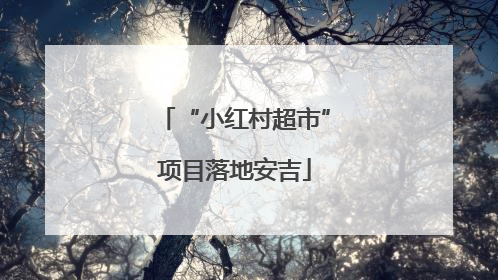 “小红村超市”项目落地安吉