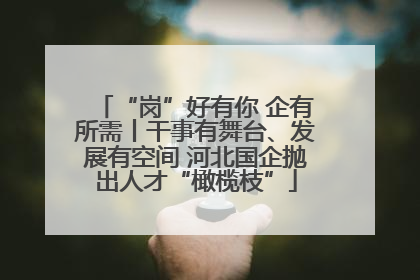 “岗”好有你 企有所需丨干事有舞台、发展有空间 河北国企抛出人才“橄榄枝”