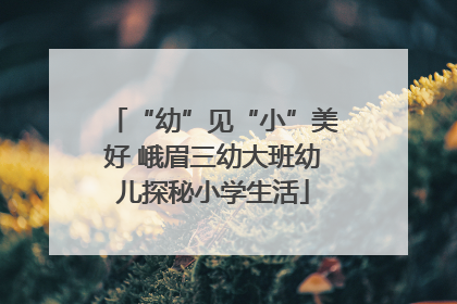 “幼”见“小”美好 峨眉三幼大班幼儿探秘小学生活