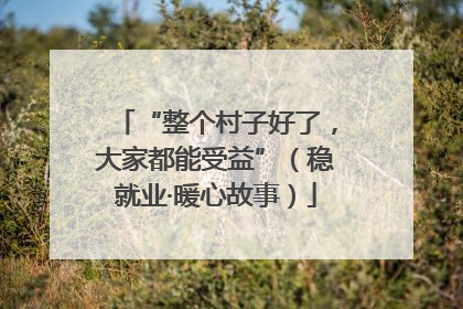 “整个村子好了，大家都能受益”（稳就业·暖心故事）