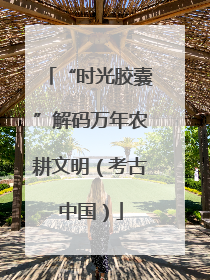 “时光胶囊”解码万年农耕文明（考古中国）