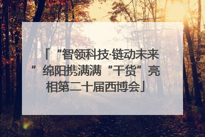 “智领科技·链动未来”绵阳携满满“干货”亮相第二十届西博会