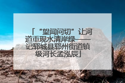 “望闻问切”让河道重现水清岸绿——记郓城县郓州街道镇级河长孟泓辰