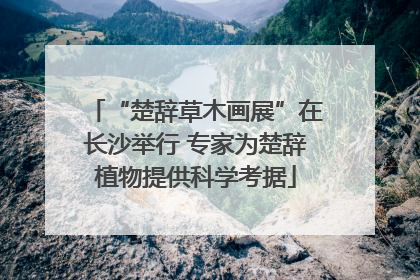 “楚辞草木画展”在长沙举行 专家为楚辞植物提供科学考据