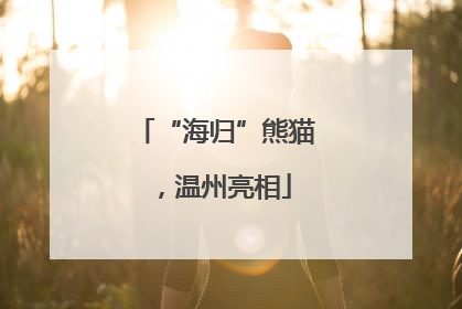 “海归”熊猫，温州亮相