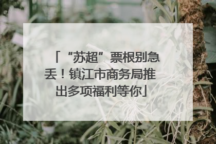 “苏超”票根别急丢！镇江市商务局推出多项福利等你