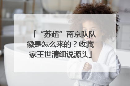 “苏超”南京队队徽是怎么来的？收藏家王世清细说源头