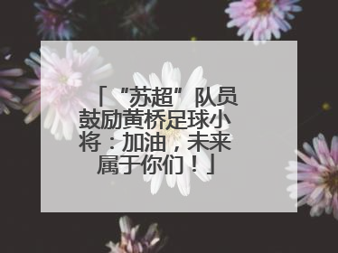 “苏超”队员鼓励黄桥足球小将：加油，未来属于你们！