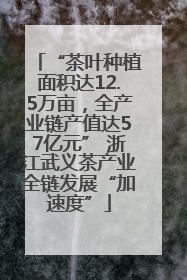 “茶叶种植面积达12.5万亩，全产业链产值达57亿元” 浙江武义茶产业全链发展“加速度”