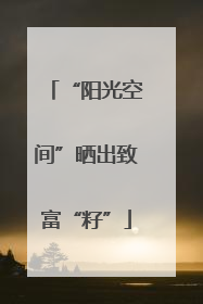 “阳光空间”晒出致富“籽”